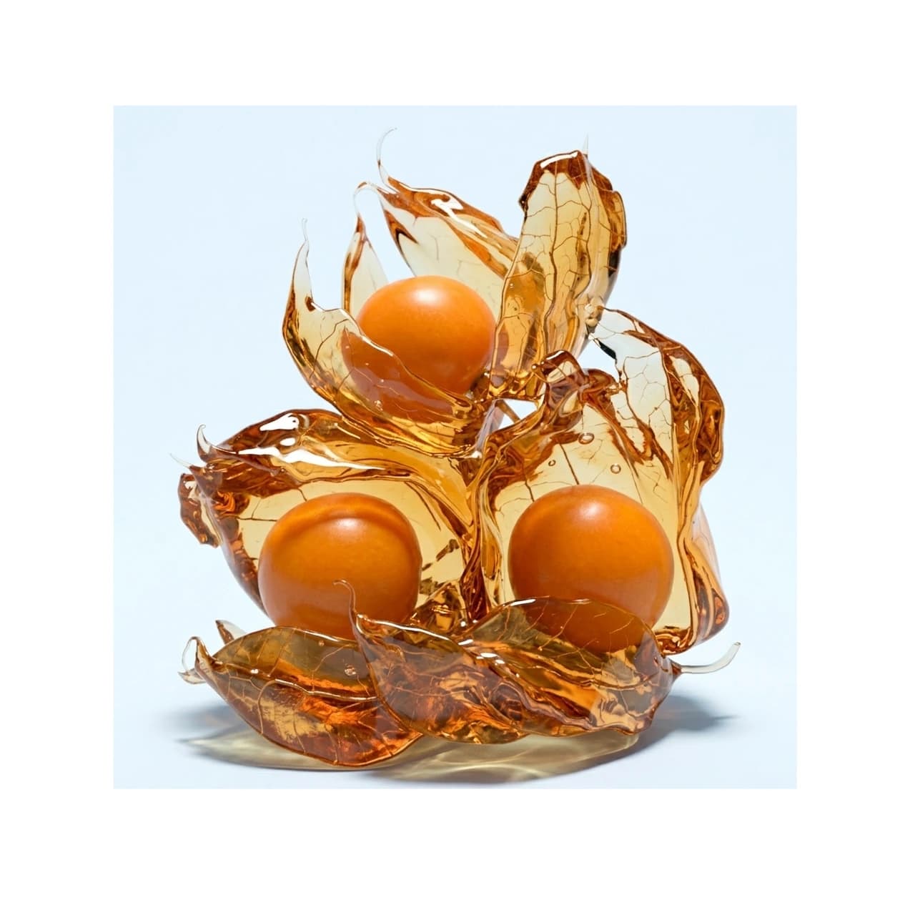 Physalis (Kapstachelbeeren), 100 g