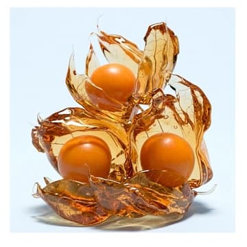Physalis (Kapstachelbeeren), 100 g